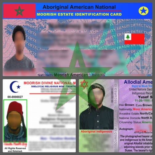 3-Card Bundle: Tribal/Right to Work/508 Card